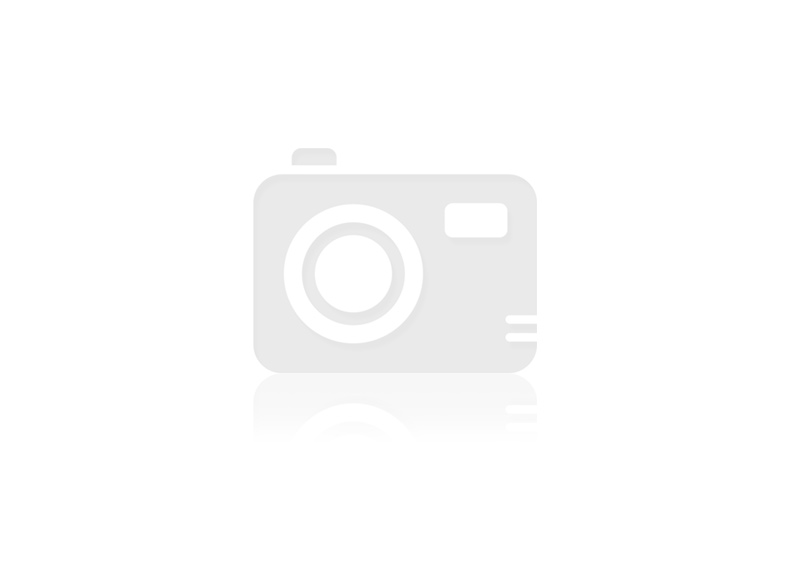Fenêtre #101603 Battant PVC